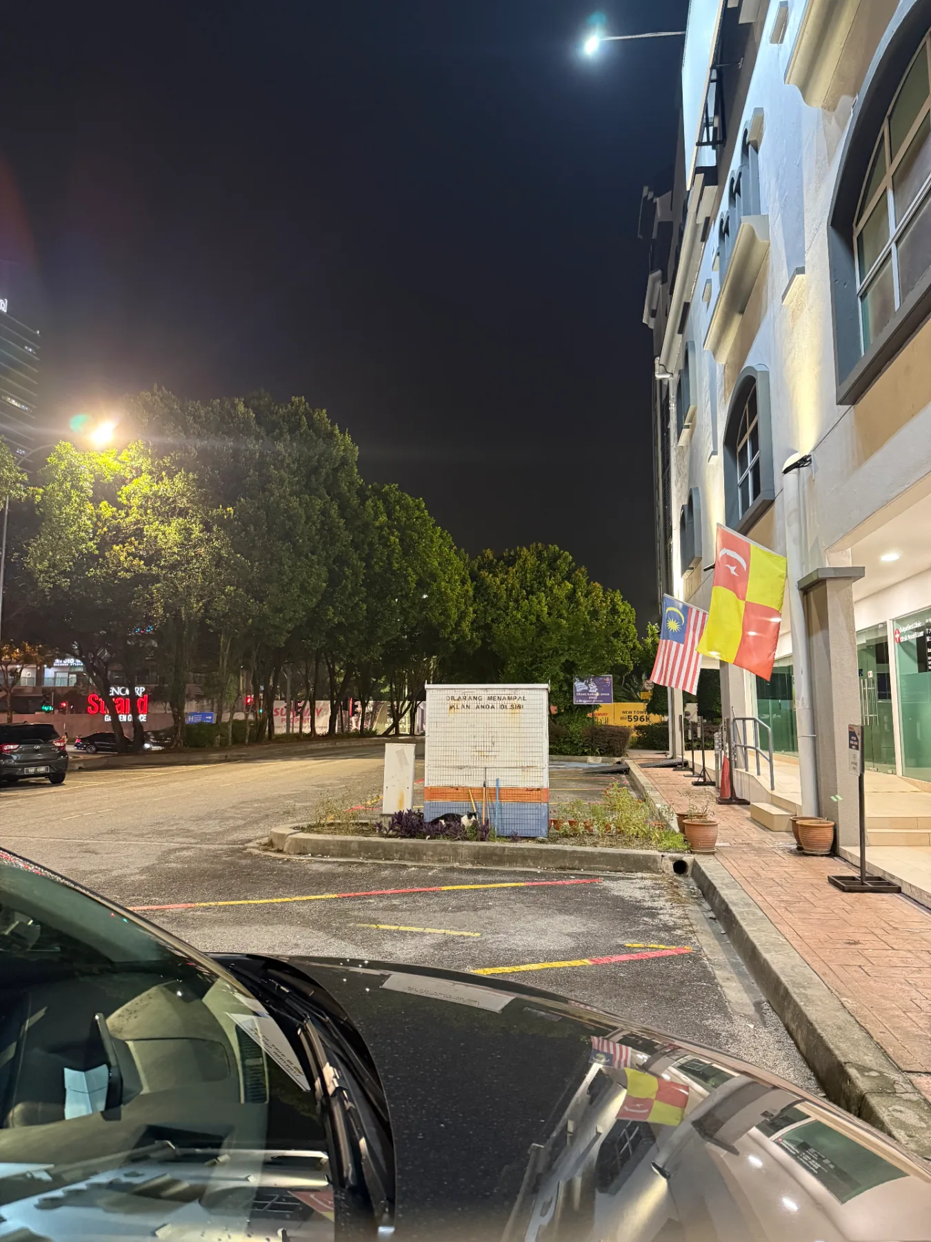 Stray cat at Kota Damansara