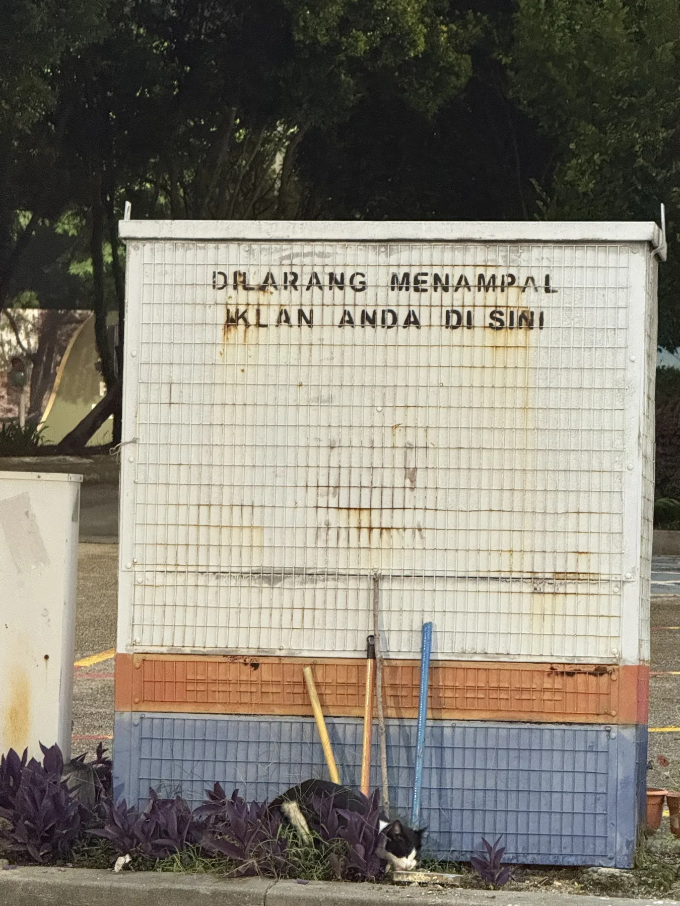 Stray cat at Kota Damansara