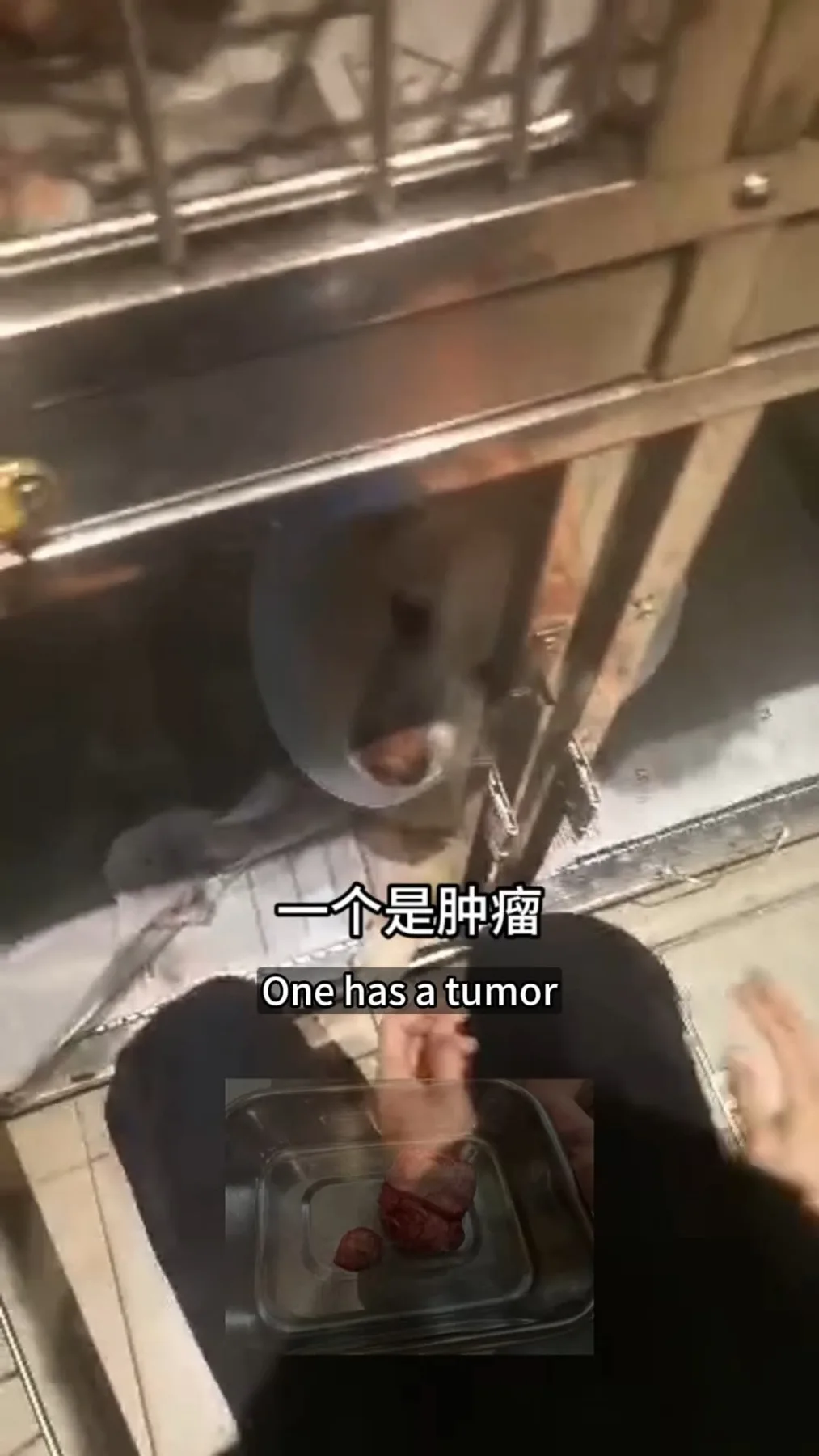 She Survived. Now She Needs